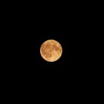 1115121_fullmoon